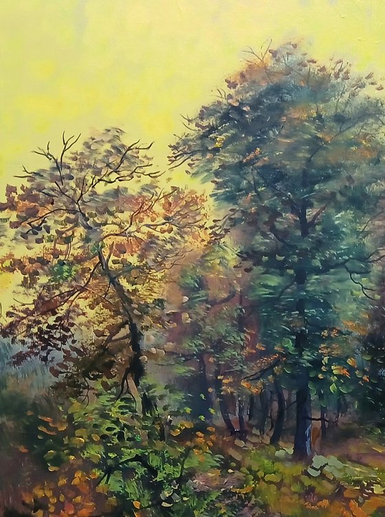 Autumn In The Forest