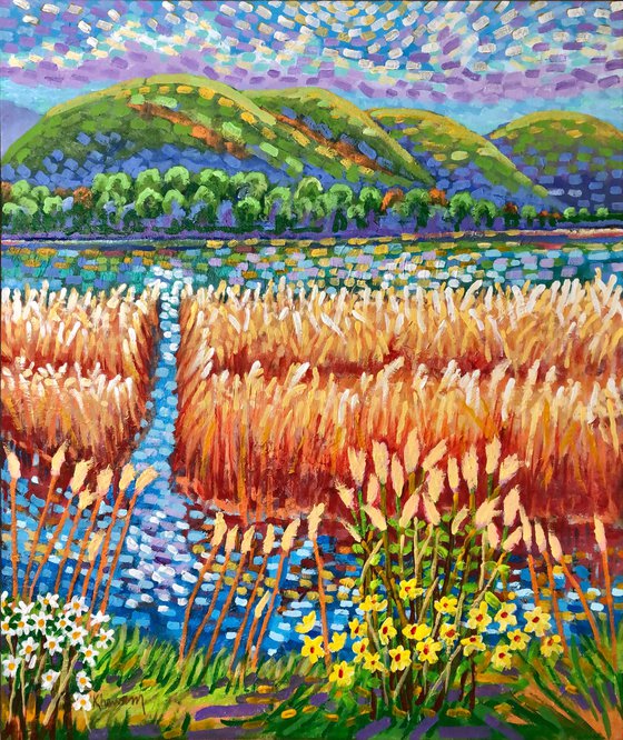 Marshland on the Hudson