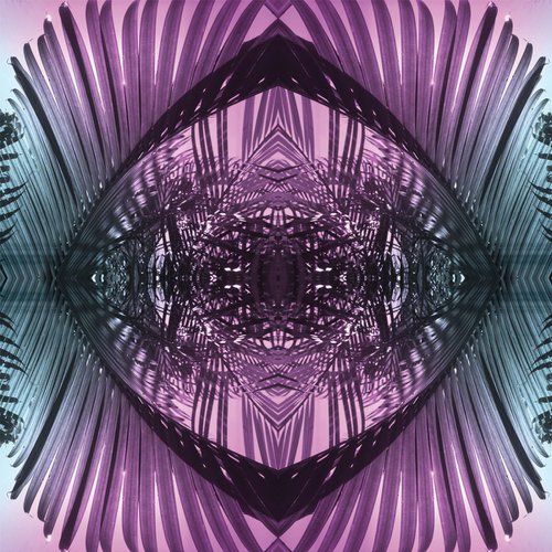 Purple Palms 2 by Stephanie Mill
