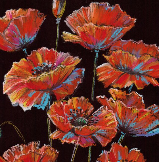 Vibrant Poppies