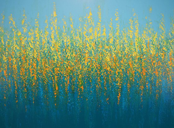 Colorful Meadow - Flower Field