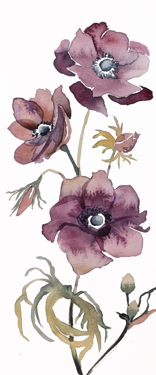 Hellebore No. 35 by Elizabeth Becker