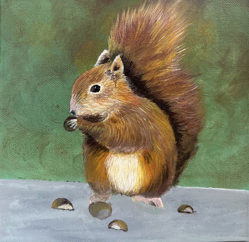 Red squirrel by Maxine Taylor