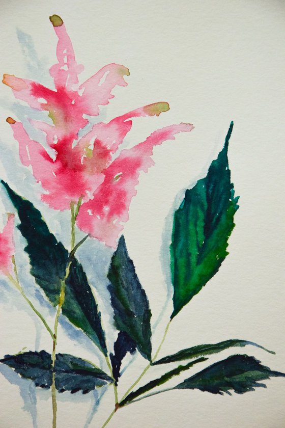 Botanical ORIGINAL watercolor painting, pink flower of mint, romantic gift for her