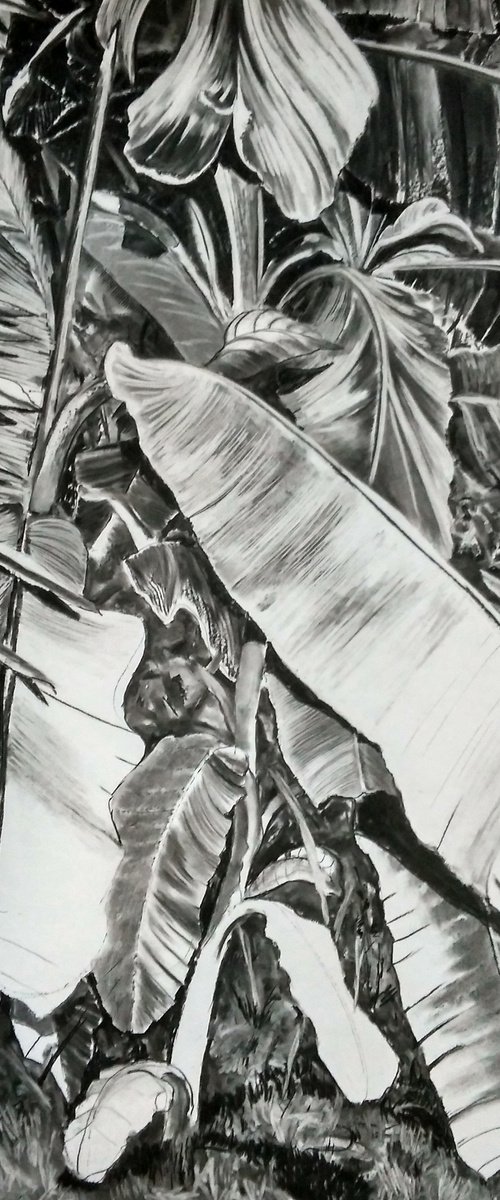 Thick Jungle (Charcoal Drawing) by Dominic Virtosu