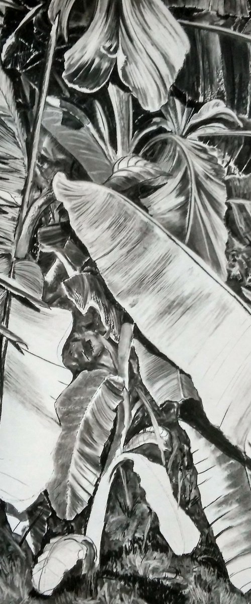 Thick Jungle(Charcoal Drawing) by Dominic Virtosu