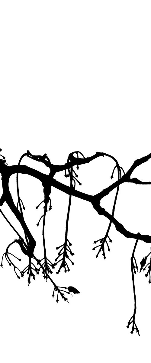 Baum 5 by Dieter Mach
