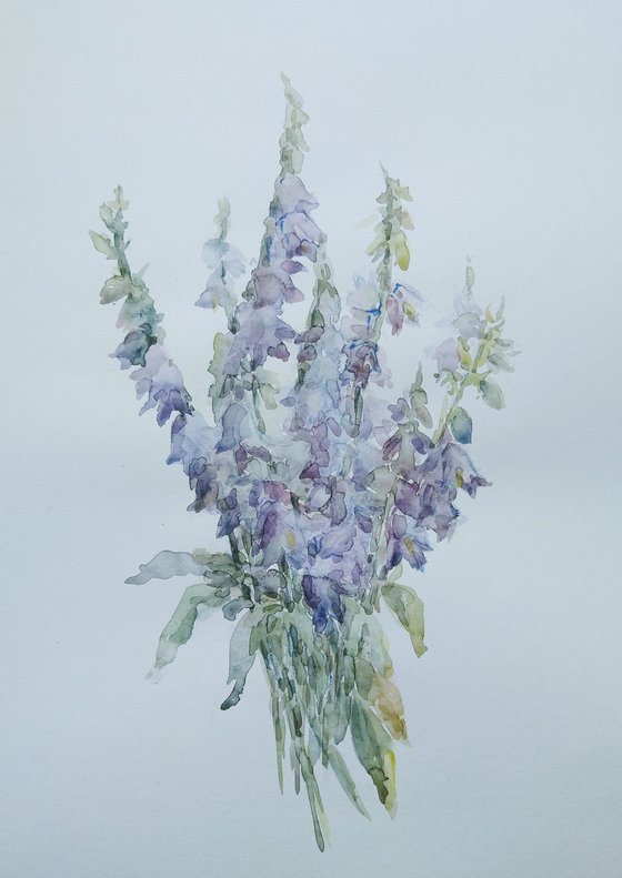 Bellflowers. Original watercolour painting.