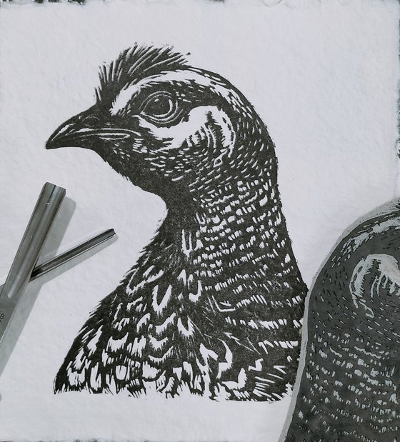 Grouse Small Print