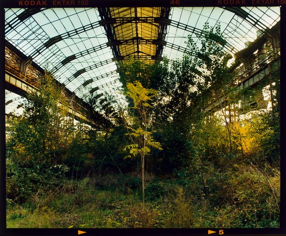 Industrial Jungle, Lambrate, Milan