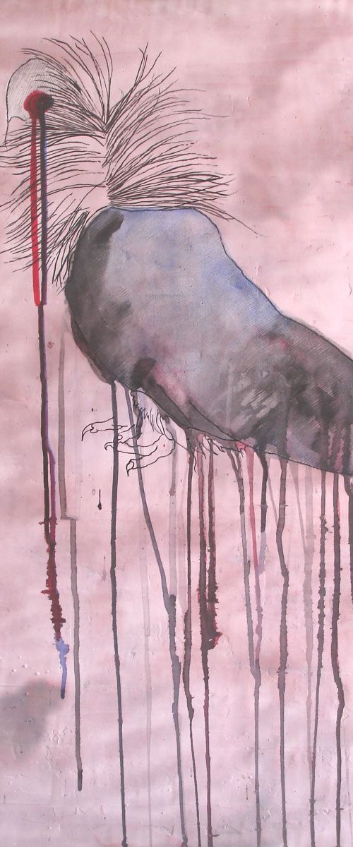 Bird by Ricardo Machado