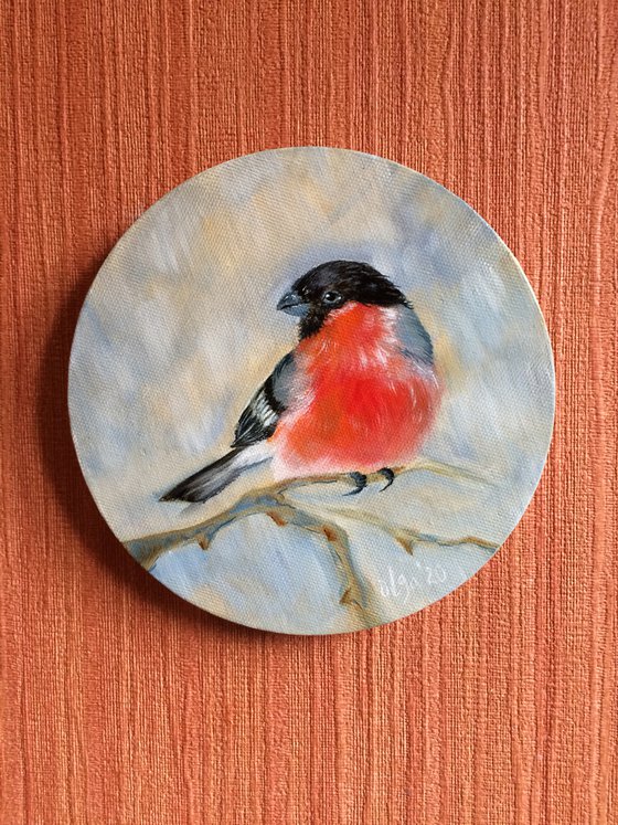 Bird portrait - Bullfinch small round canvas - Christmas gift for bird lover