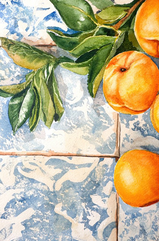 Portuguese Harvest  – Golden Apricots
