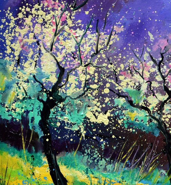 Appletrees in blossom -6523