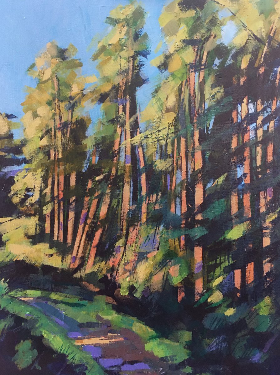 Path through Kinsley woods by Stuart Roper