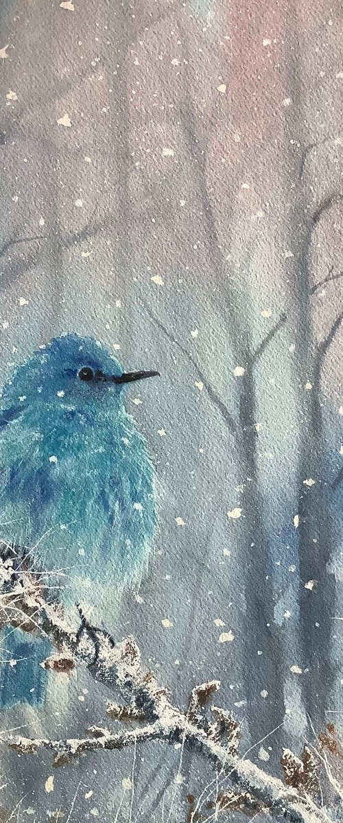 Mountain Bluebird #2 by Darren Carey