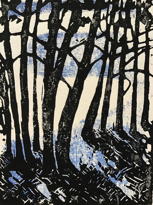 Bluebell Wood by Sandra Haney