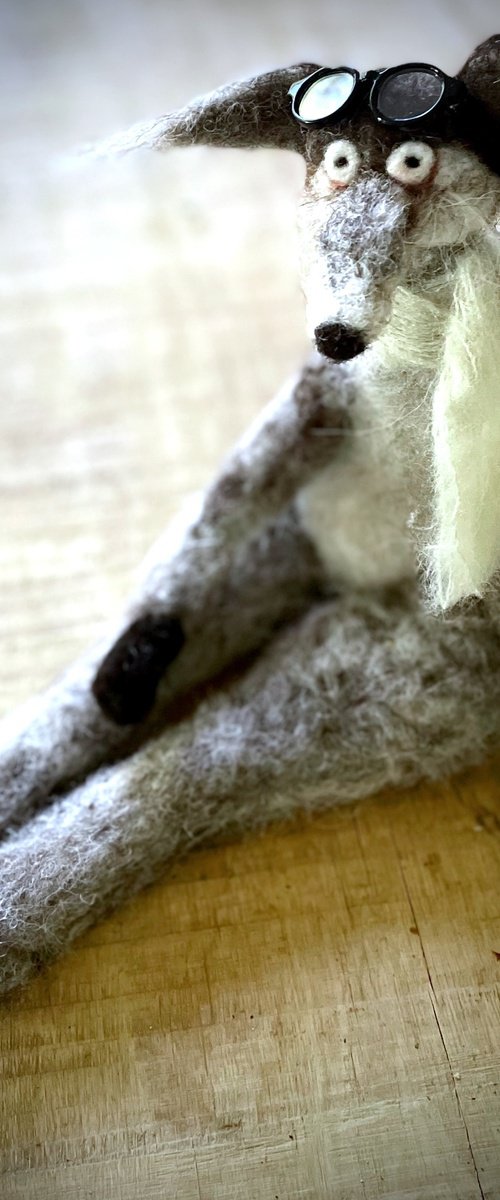 Wolf Antoine by Eleanor Gabriel