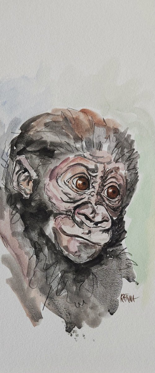 Baby Gorilla by Katrina Case