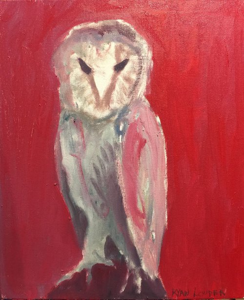Owl by Ryan  Louder