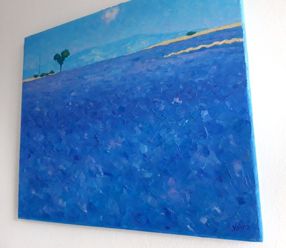 Abstract lavender field