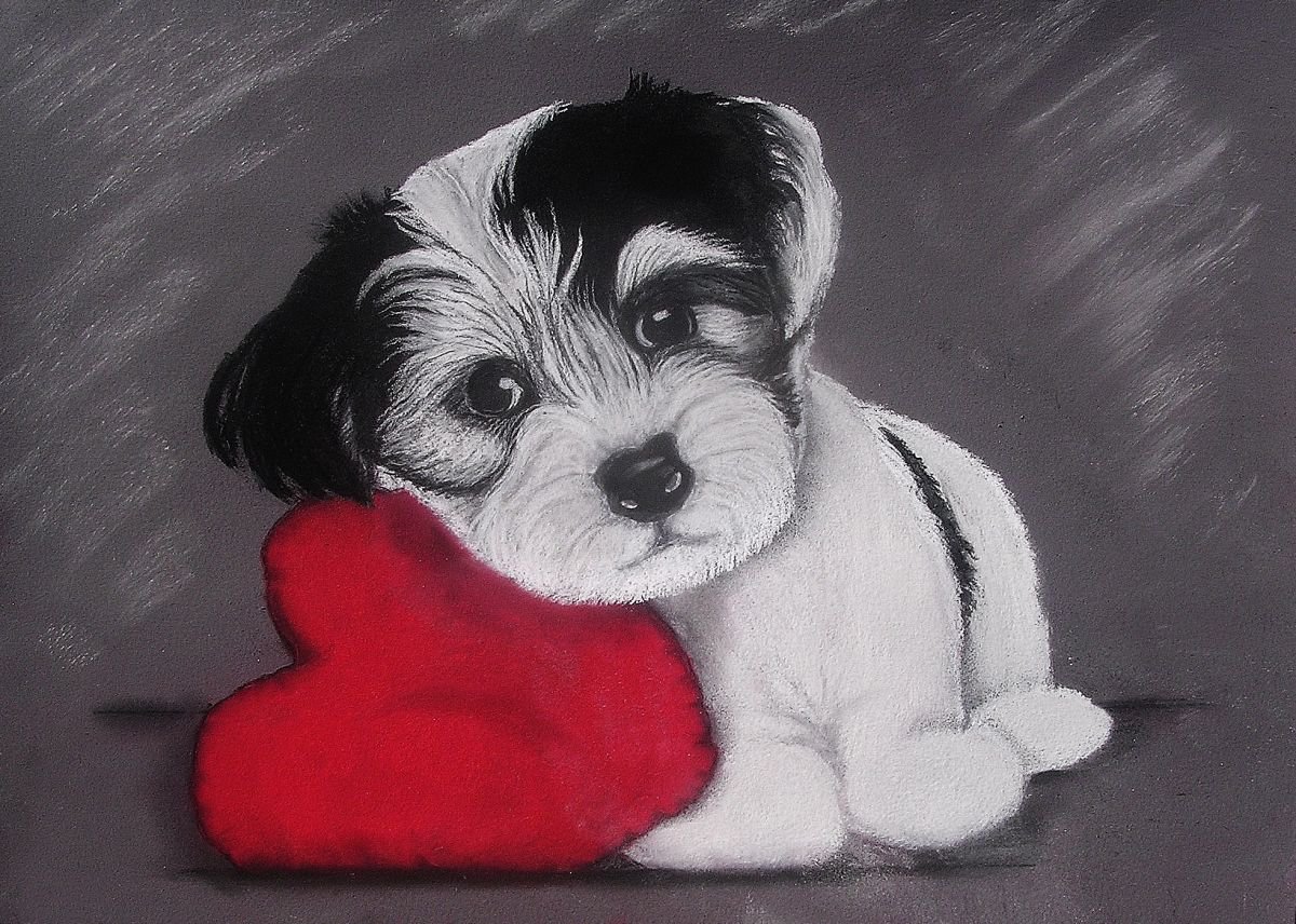 Puppy Love by Linda Burnett