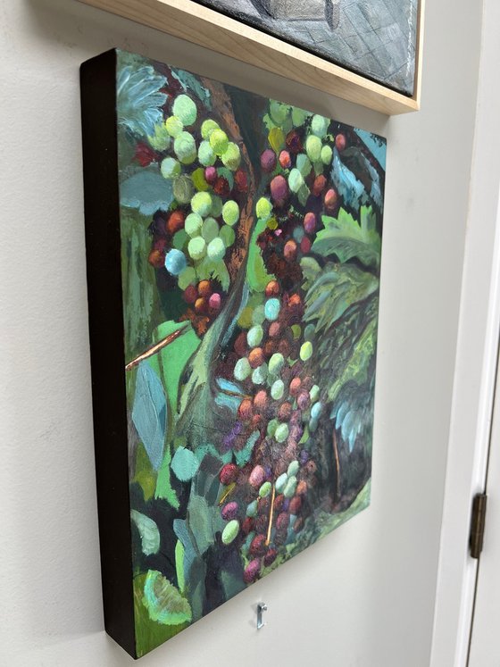 Veraison
