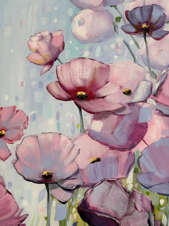 Poppies Land 16