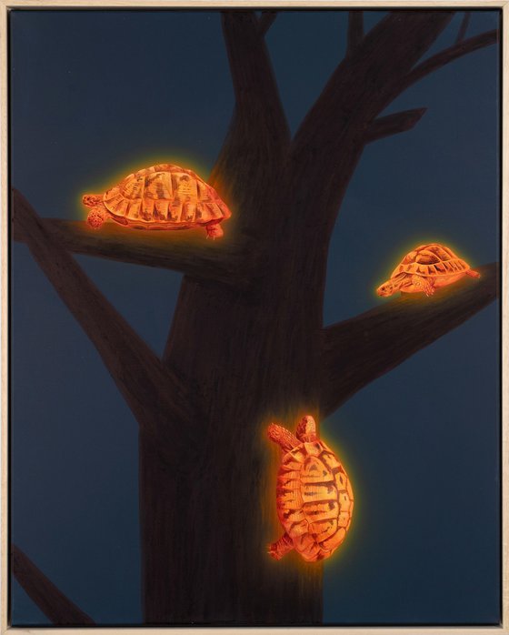 Barking Up the Wrong Tree