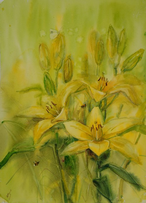 Yellow lilies by Elena Sanina