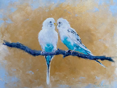 Parrots in love by Elvira Sultanova