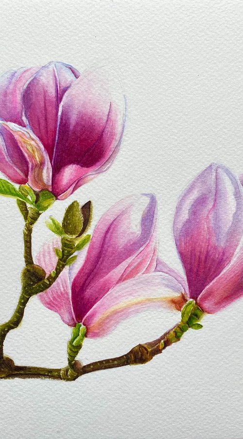 Magnolia (iii) by Neha Soni