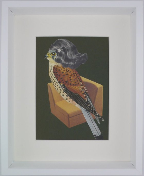 Homebird - Number #2