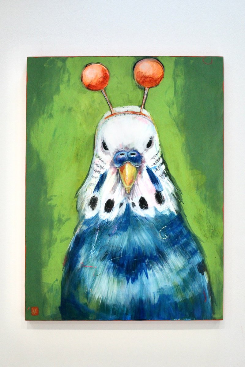 Expressive Animal Painting By Victoria Coleman, 18 X 24", Boioing Budgie, Original Artwork