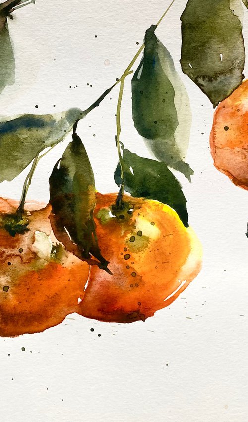 Mandarines. Watercolor sketch by Anna Boginskaia