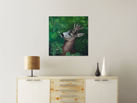 Deer