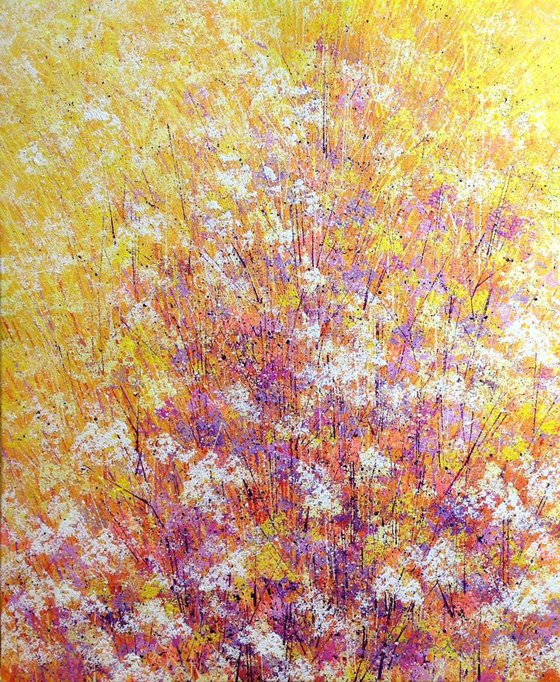 Early Autumn Colours