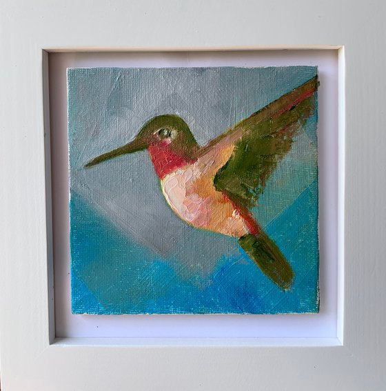 Hummingbird flying moment
