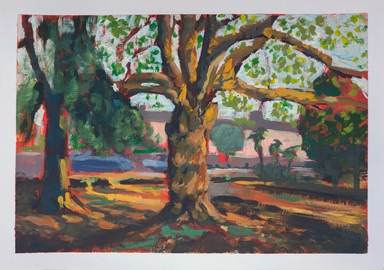 Thorn Park Study