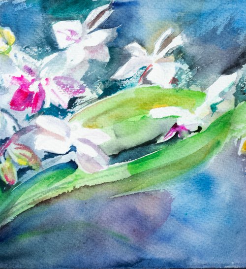 Orchid 01092020 by Irina Bibik-Chkolian
