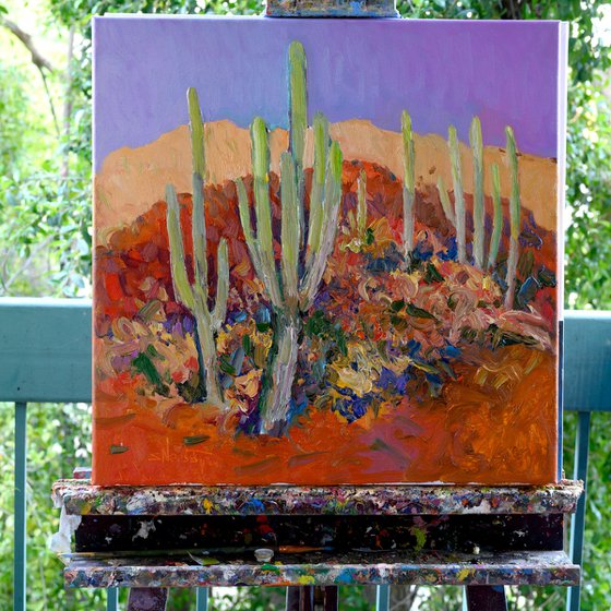 Morning in the Desert, Saguaro Cactuses