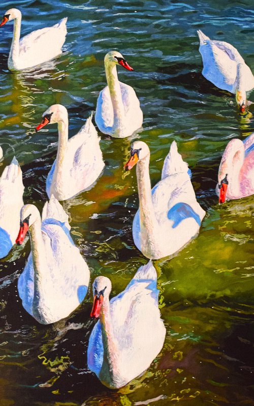 Swanning About by Abi Whitlock