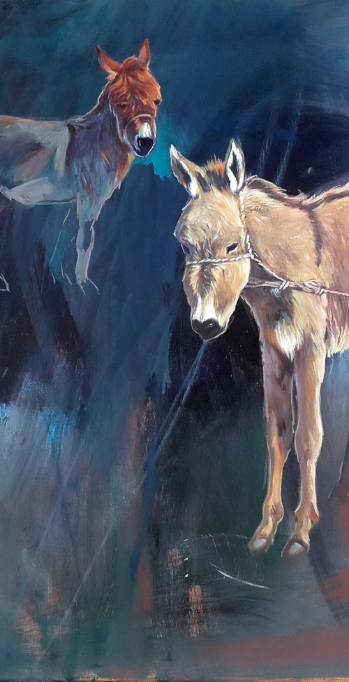 donkey by Róbert Kormos