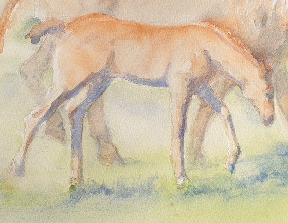 IN THE PASTURE 2020.056  original watercolour 40X30CM