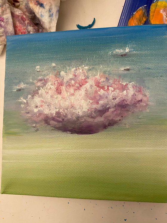 CLOUD SERIES: LIMELIGHT