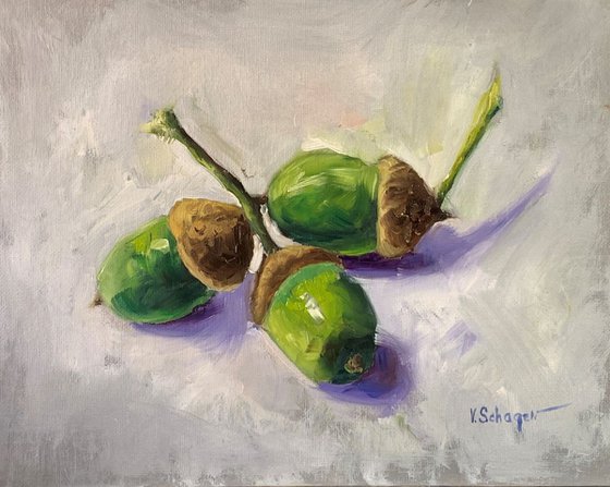 Acorns, oak tree still life