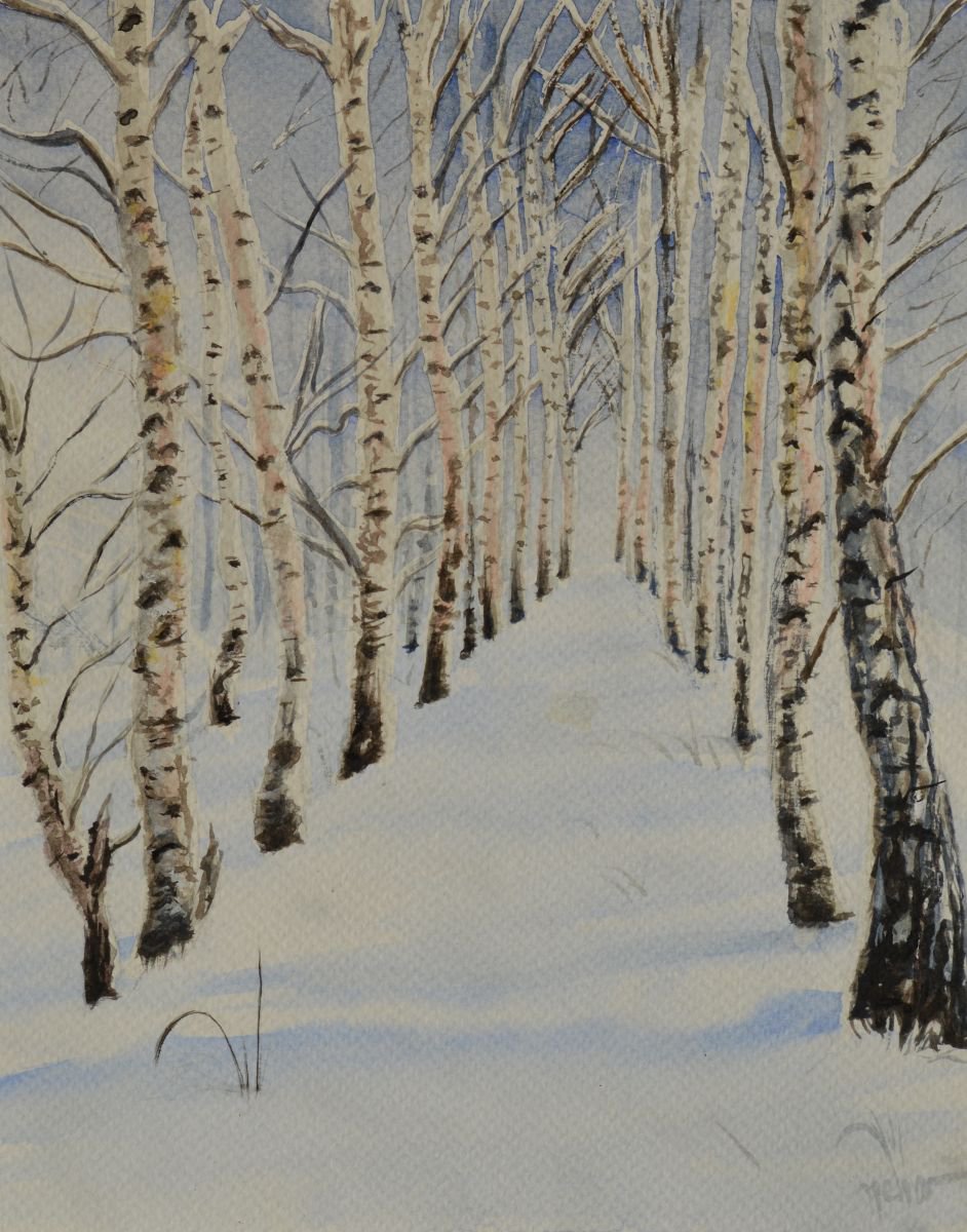 Birches in snow by Neha Soni