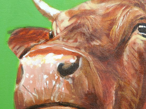 Cow close up painting green background