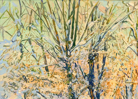 A sunny day on the Chertanovka River