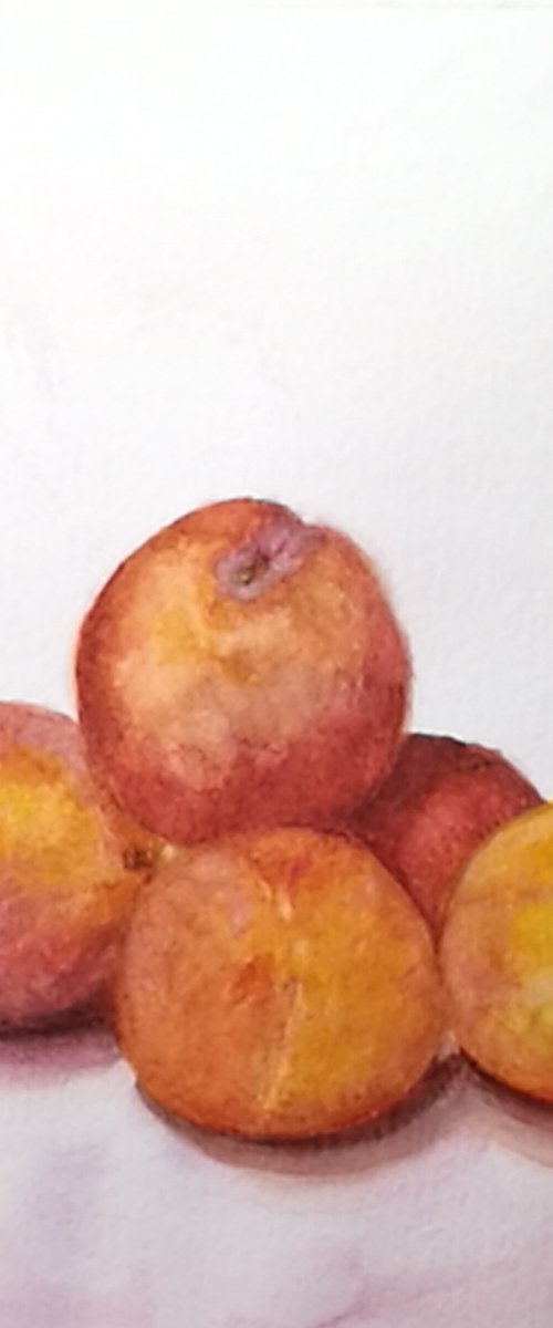 Ripe plums by Daniela Roughsedge